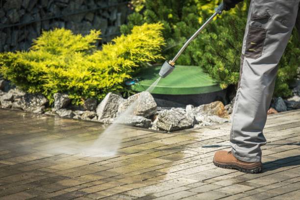 Animal Enclosure Cleaning in Eureka Mill, SC